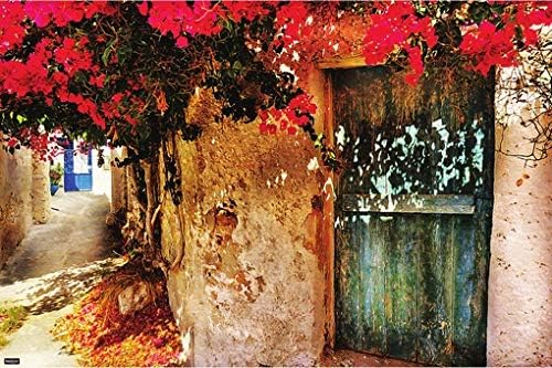 Old Village Alley with Aged Blue Wooden Door and Bougainvillea Painting Modern Art Print Home Decor Poster 24x36