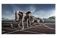 woman RACING CHEETAHS on TRACK poster 24X36 funny INVENTIVE animal friendly