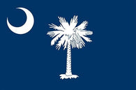 south carolina official flag poster PALM TREE COLLECTORS PRIZED 24X36 hot