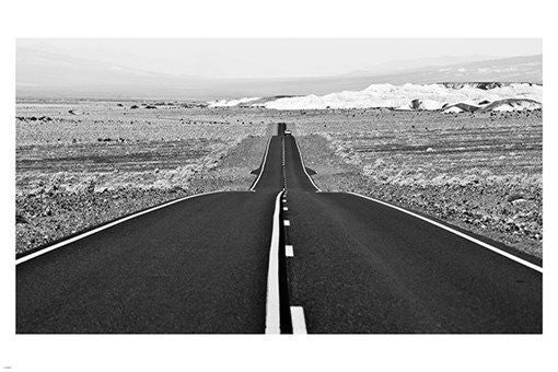 BLACK & WHITE PHOTO POSTER showing an open road FREESTYLE TRAVEL 24X36 rare
