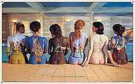 Pink Floyd Women Back Album Covers Music Poster 24X36