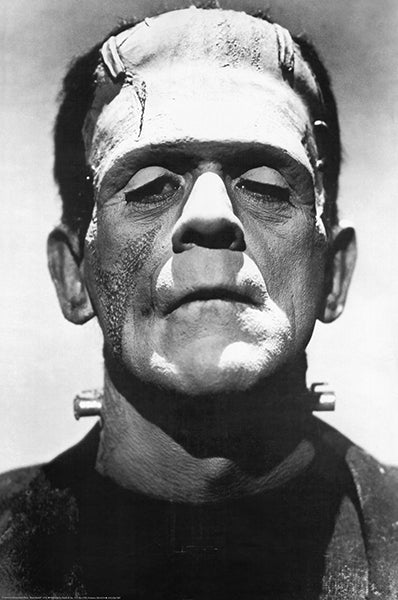 Frankenstein 1931 Fine Art Print Movie Film  24x36 Poster