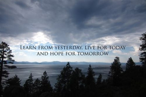 quiet forest view inspirational wisdom poster 24X36 LEARN LIVE HOPE soothing