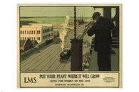 put your plant WHERE IT WILL GROW VINTAGE POSTER N WILKINSON UK 1928 24X36