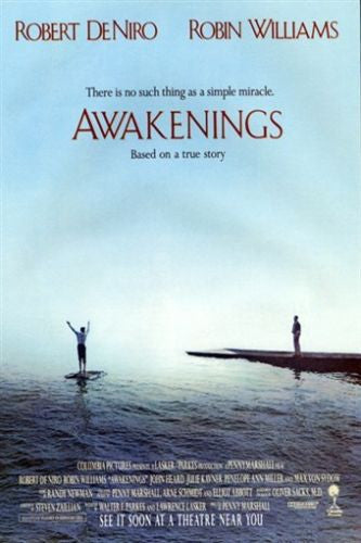 ROBERT DENIRO ROBIN WILLIAMS awakenings movie poster DOCTOR patient 24X36