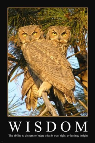 Wisdom Owl definition quote INSPIRATIONAL POSTER 24X36 positive thinking