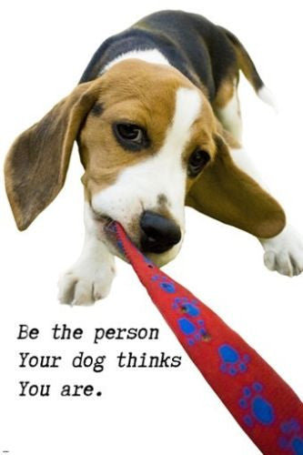 TAKE me for a WALK doggie INSPIRATIONAL poster 24X36 ADORABLE animal GEM