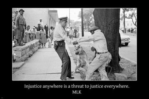 M. Luther King Jr BIRMINGHAM quote INSPIRATIONAL poster 24X36 civil rights