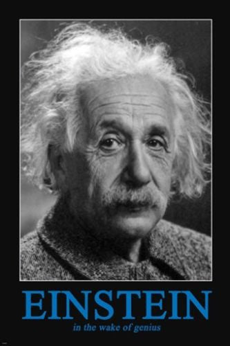 Einstein in the Wake of Genius INSPIRATIONAL POSTER 24X36 HOT new RARE