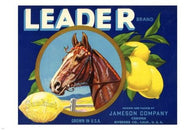 SUNKIST LEMONS vintage advertising HORSE ripe fruit CLASSIC new gem 24X36