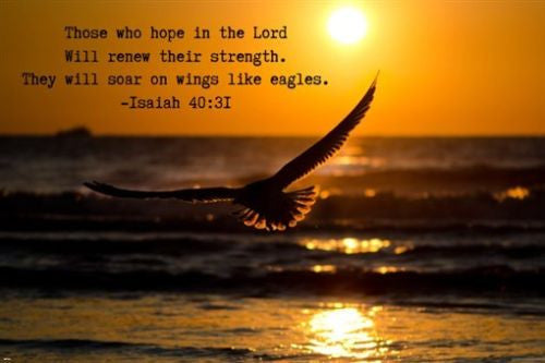 Isaiah 40:31 Biblical Verse INSPIRATIONAL POSTER 24X36 Hope in the Lord