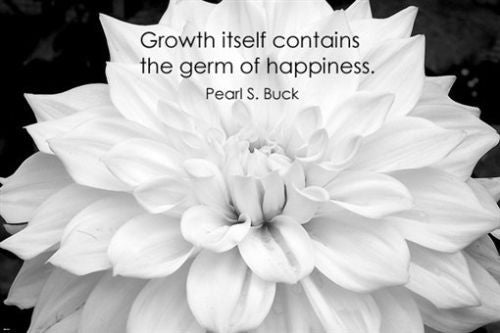 zinnia flower with PEARL S. BUCK quote INSPIRATIONAL POSTER 24X36 happiness