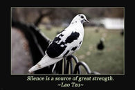 B&W Pigeon LAO TZU INSPIRATIONAL POSTER Simple Quote 24X36 POETIC GRACEFUL