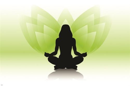 woman silhouette YOGA POSTER peaceful spiritual symbolic MEDITATION 24X36