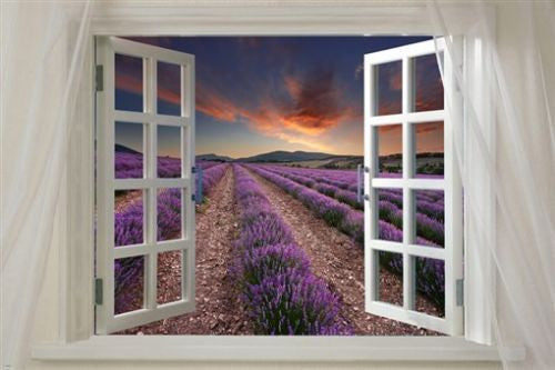 Window onto LAVENDER FIELD scenic poster 24X36 beautiful purple flowers