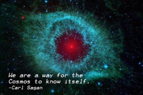 iron outer space CARL SAGAN INSPIRATIONAL quote poster 24X36 truth WISDOM