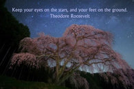Theodore Roosevelt quote about stars INSPIRATIONAL poster 24X36 POSITIVITY