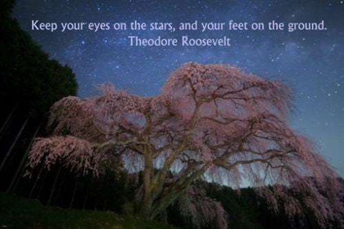 Theodore Roosevelt quote about stars INSPIRATIONAL poster 24X36 POSITIVITY