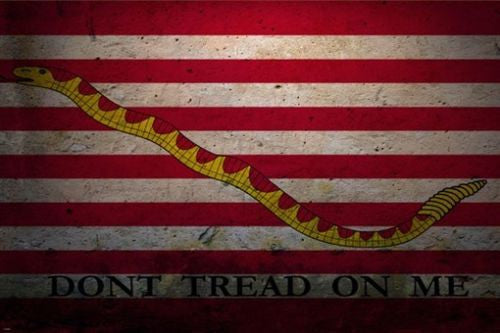DON'T TREAD ON ME flag with snake poster 24X36 grunge style GREAT GRAPHICS