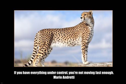 MARIO ANDRETTI self empowerment quote MOTIVATIONAL POSTER 24X36 cheetah