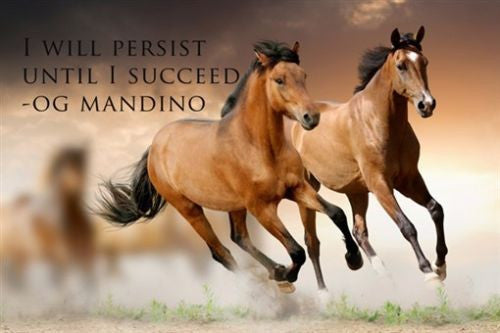 INSPIRATIONAL POSTER horse running 24X36 OG MANDINO QUOTE persistance SUCCESS