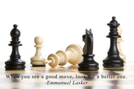 Chess Moves MOTIVATIONAL POSTER 24X36 POWER intelligence STRATEGY Finesse