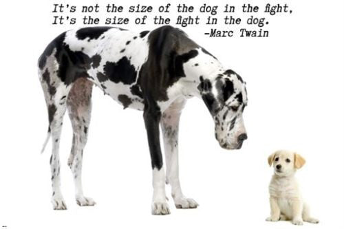 big dog little dog MOTIVATIONAL POSTER 24X36 inspiring quote by MARC TWAIN