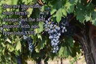 POPE JOHN 23 quote about men & wine INSPIRATIONAL POSTER 24X36 wise insight