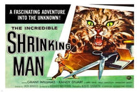 the INCREDIBLE shrinking MAN movie POSTER guy  vs. cat SUSPENSE hot 24X36
