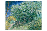 lilac bush VINCENT VAN GOGH fine art poster 24X36 POST-IMPRESSIONIST vibrant