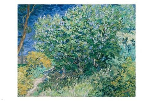 lilac bush VINCENT VAN GOGH fine art poster 24X36 POST-IMPRESSIONIST vibrant