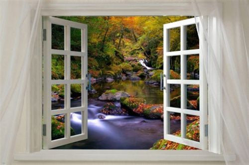 WINDOW onto forest creek in AUTUMN scenic poster 24X36 fresh animated new