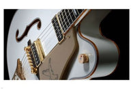vintage ELECTRIC GUITAR poster 24X36 side angle CLEAN CURVES gold strings