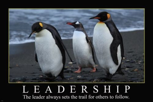 PENGUINS leadership motivational POSTER 24X36 self empowerment