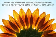 sunflower INSPIRATIONAL POSTER JOHN LENNON QUOTE classic music 1973 24X36