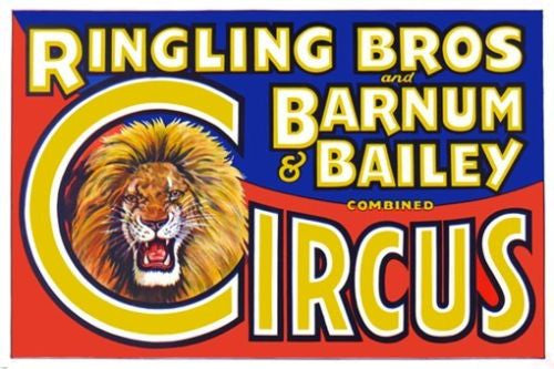 ringling brothers barnum & bailey CIRCUS poster ROARING LION MANE 24X36