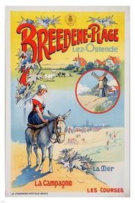 BREEDENE sea beach DONKEY vintage french ad poster UNIQUE graphic 24X36