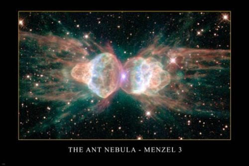 THE ANT NEBULA - Menzel 3 Hubble Space Telescope image POSTER 24x36 AMAZING