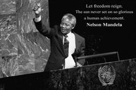Nelson Mandela at UNITED NATIONS quote INSPIRATIONAL POSTER 24X36 freedom
