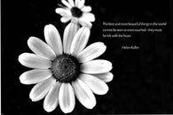 daisy coming at you HELEN KELLER quote INSPIRATIONAL poster 24X36 BEAUTY