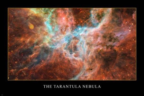 THE TARANTULA NEBULA hubble space telescope image POSTER 24X36 massive stars