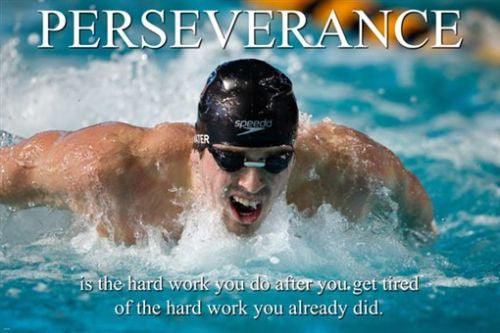 PERSEVERANCE motivation POSTER 24X36 TENACITY determination WISE WORDS