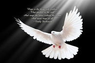 dove in FLIGHT classic spiritual poster EMILY DICKINSON QUOTE symbolic 24X36