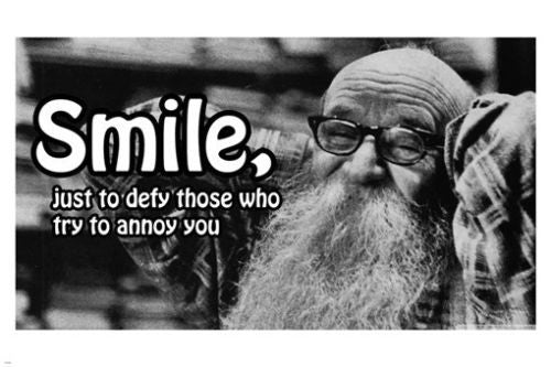 smile just TO DEFY THOSE WHO ANNOY YOU poster 24X36 funny inspirational HOT