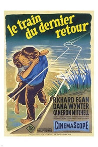 THE VIEW FROM POMPEY'S HEAD vintage FRENCH movie poster 1955 DRAMA 24X36