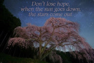 starry night and pink tree INSPIRATIONAL poster quote about hope 24X36