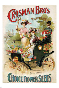 CHOICE Flower Seeds VINTAGE AD POSTER UNITED STATES 1903 24X36 COLLECTORS