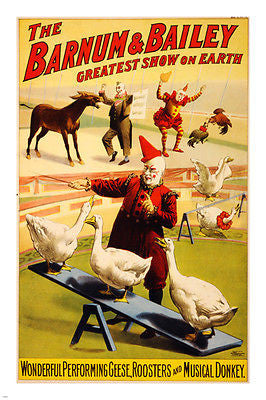 geese ROOSTERS & DONKEY circus poster 24x36 BARNUM & BAILEY 1900 clowns