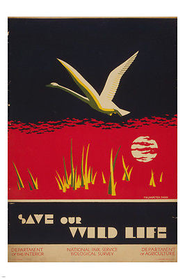 vintage AD poster SAVE OUR WILD LIFE unique COLLECTORS CLASSIC 24X36 new ART