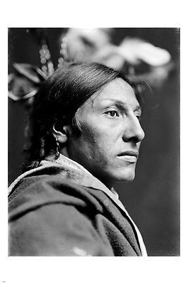 indian AMOS TWO BULLS dakota sioux vintage POSTER by Gertrude Käsebier 24X36